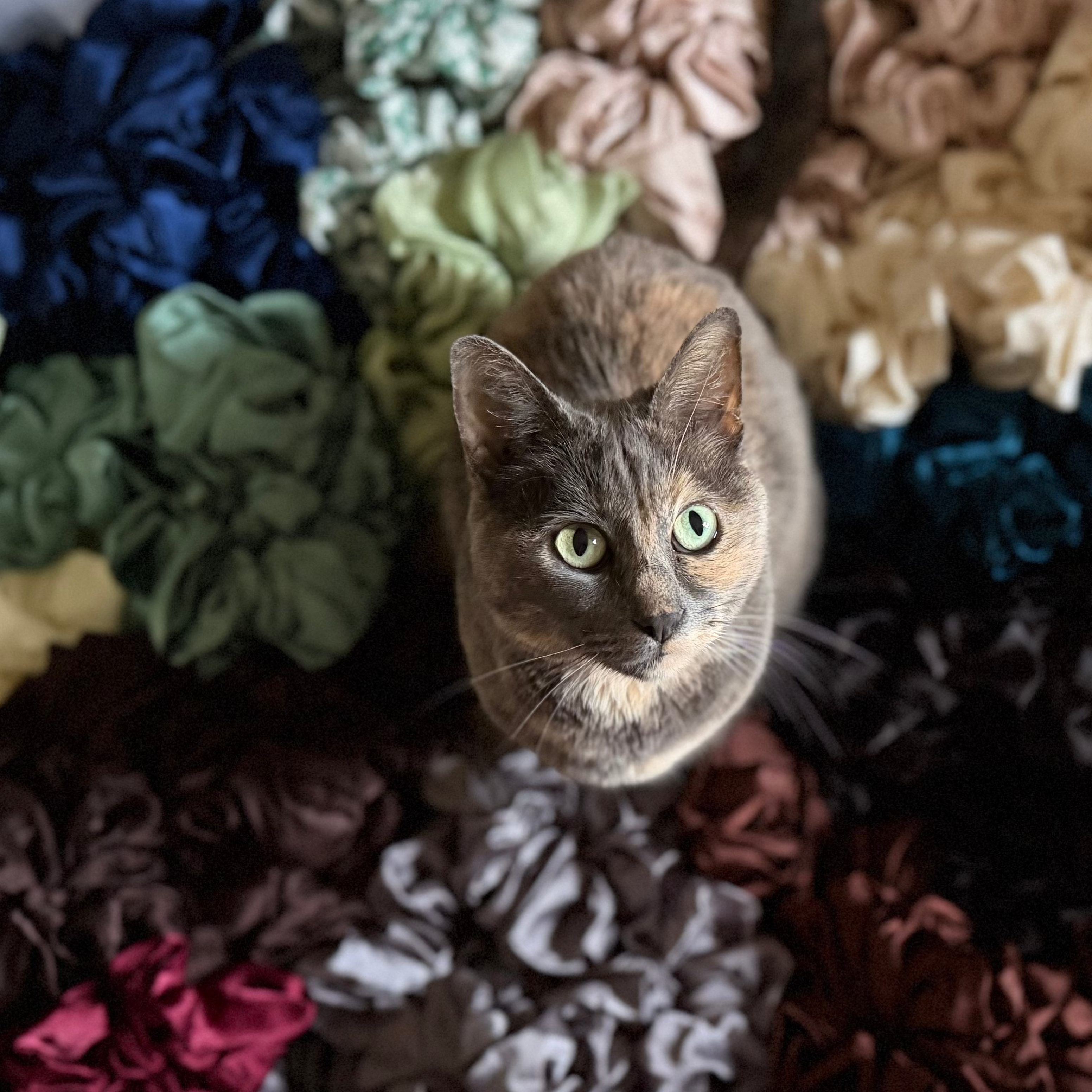 Satin Scrunchie