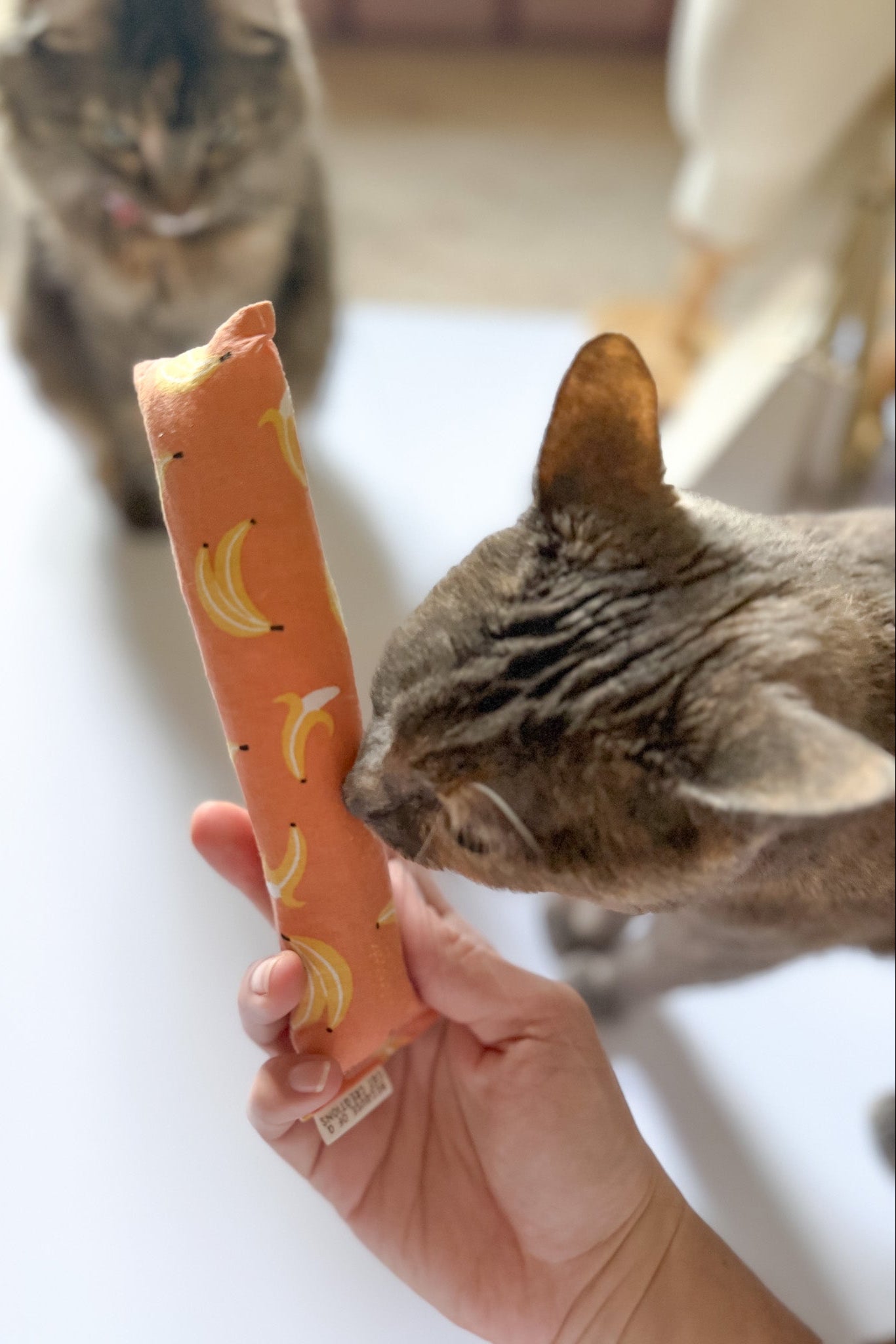 MEGA Catnip Kicker