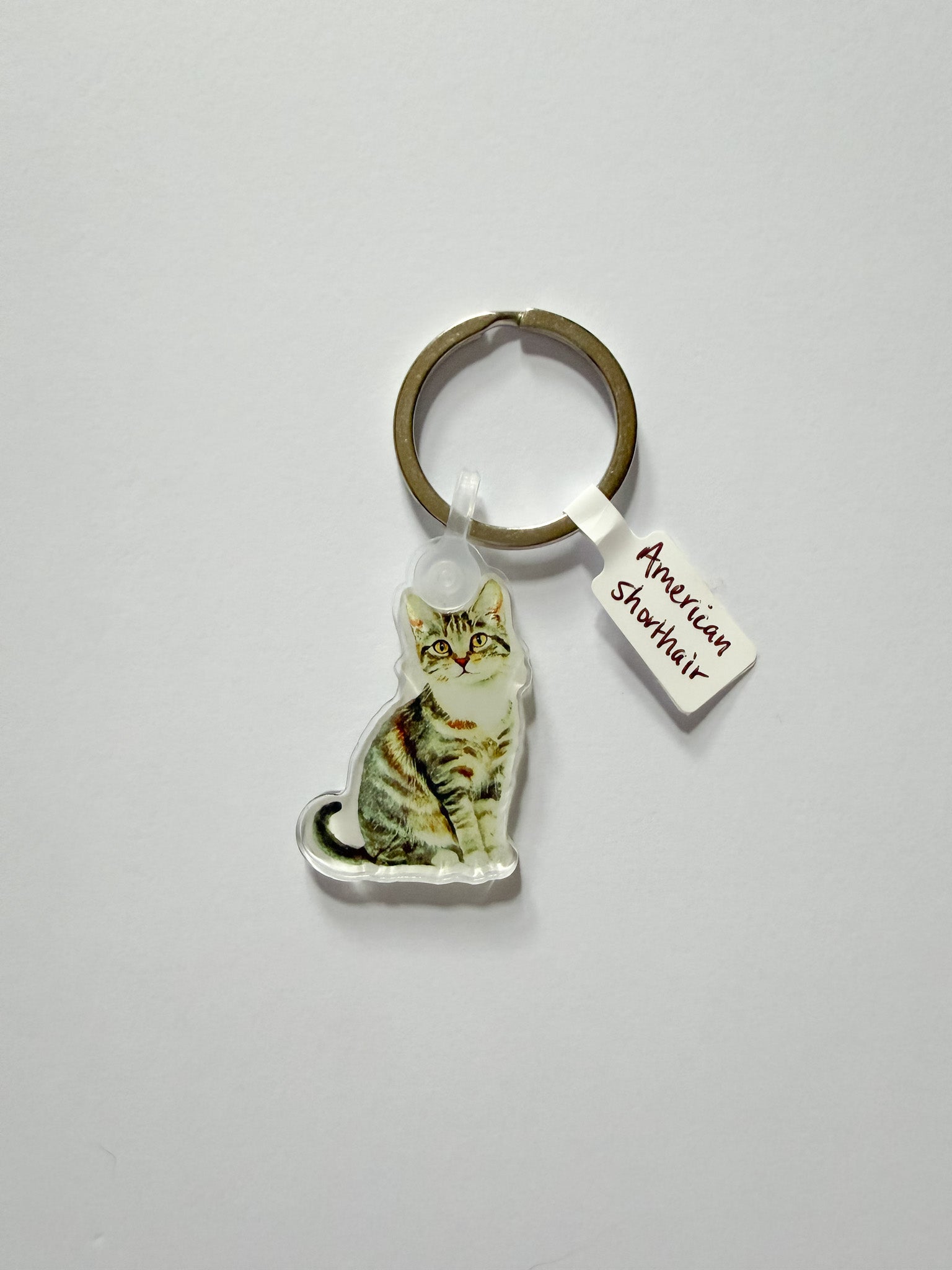 Cat Breed Keychain