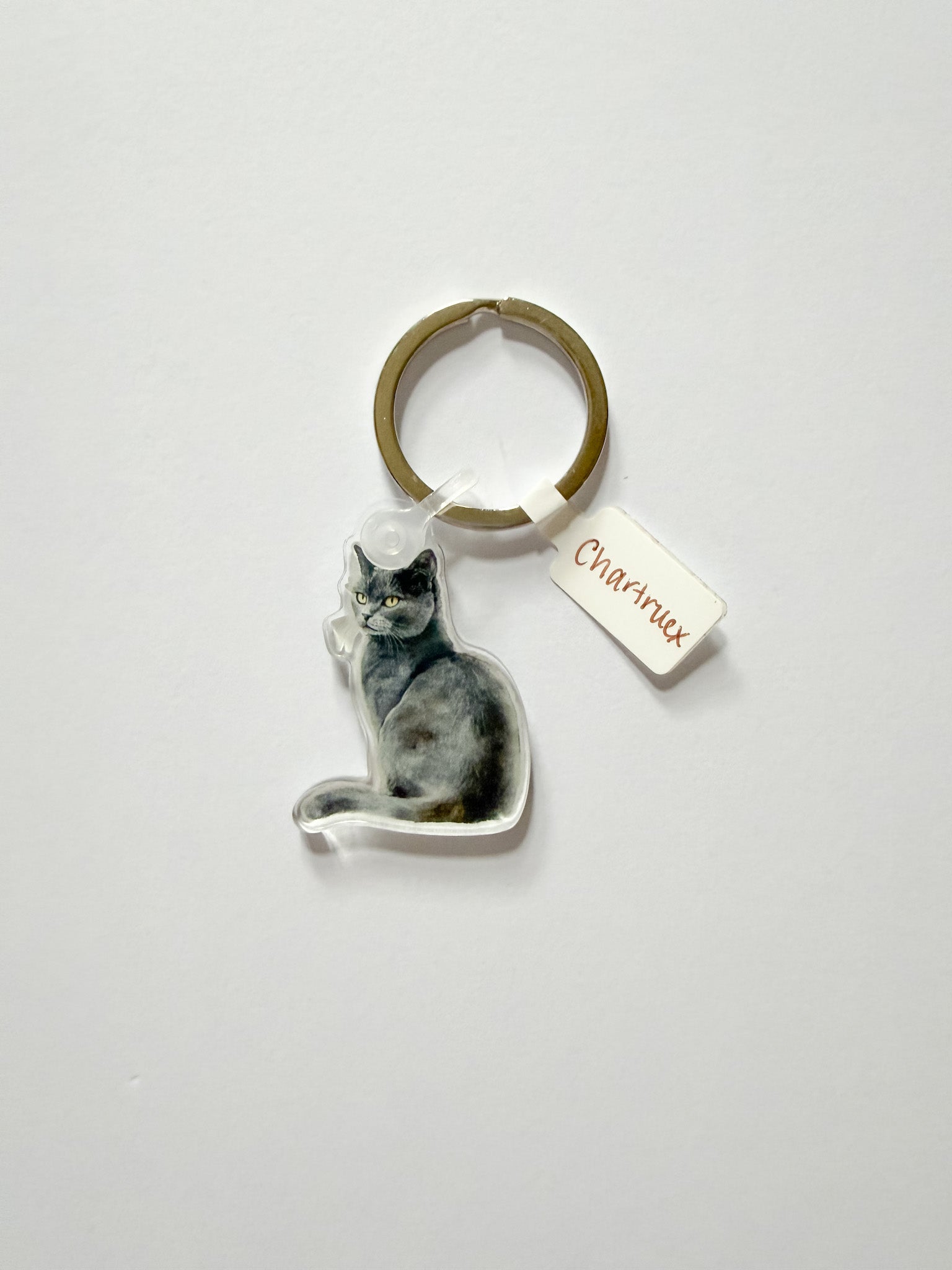 Cat Breed Keychain
