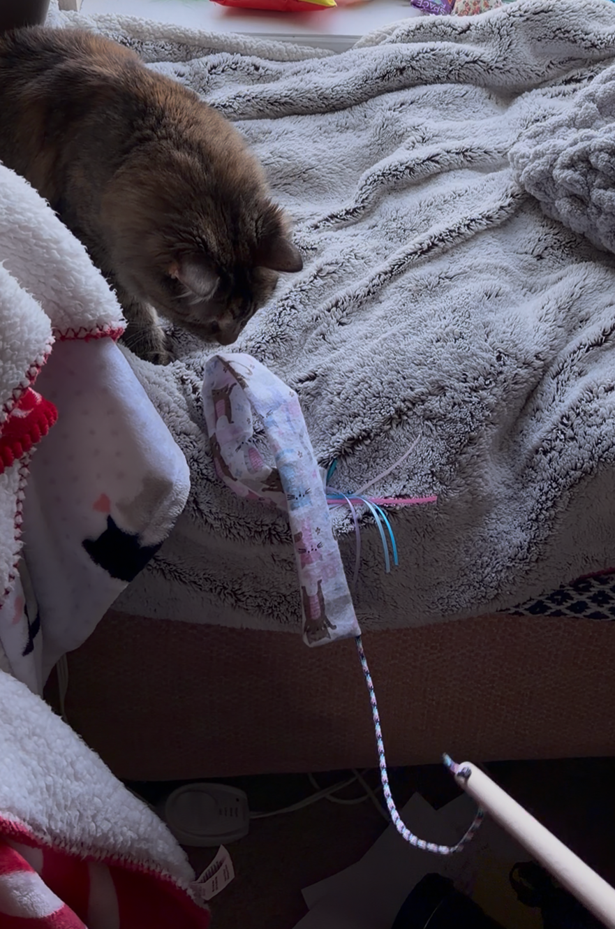 Crinkle & Jingle Teaser Wand