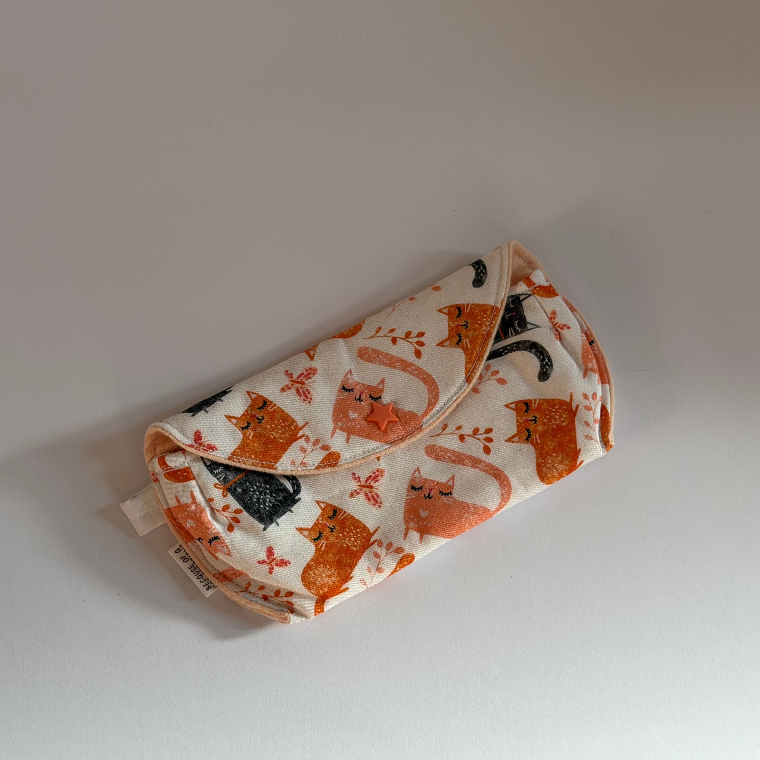 Glasses Case