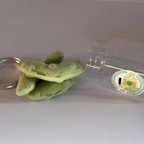 Pickle Cat Toy Pack