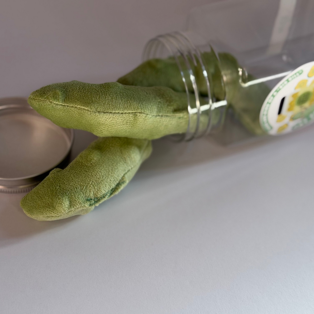 Pickle Cat Toy Pack