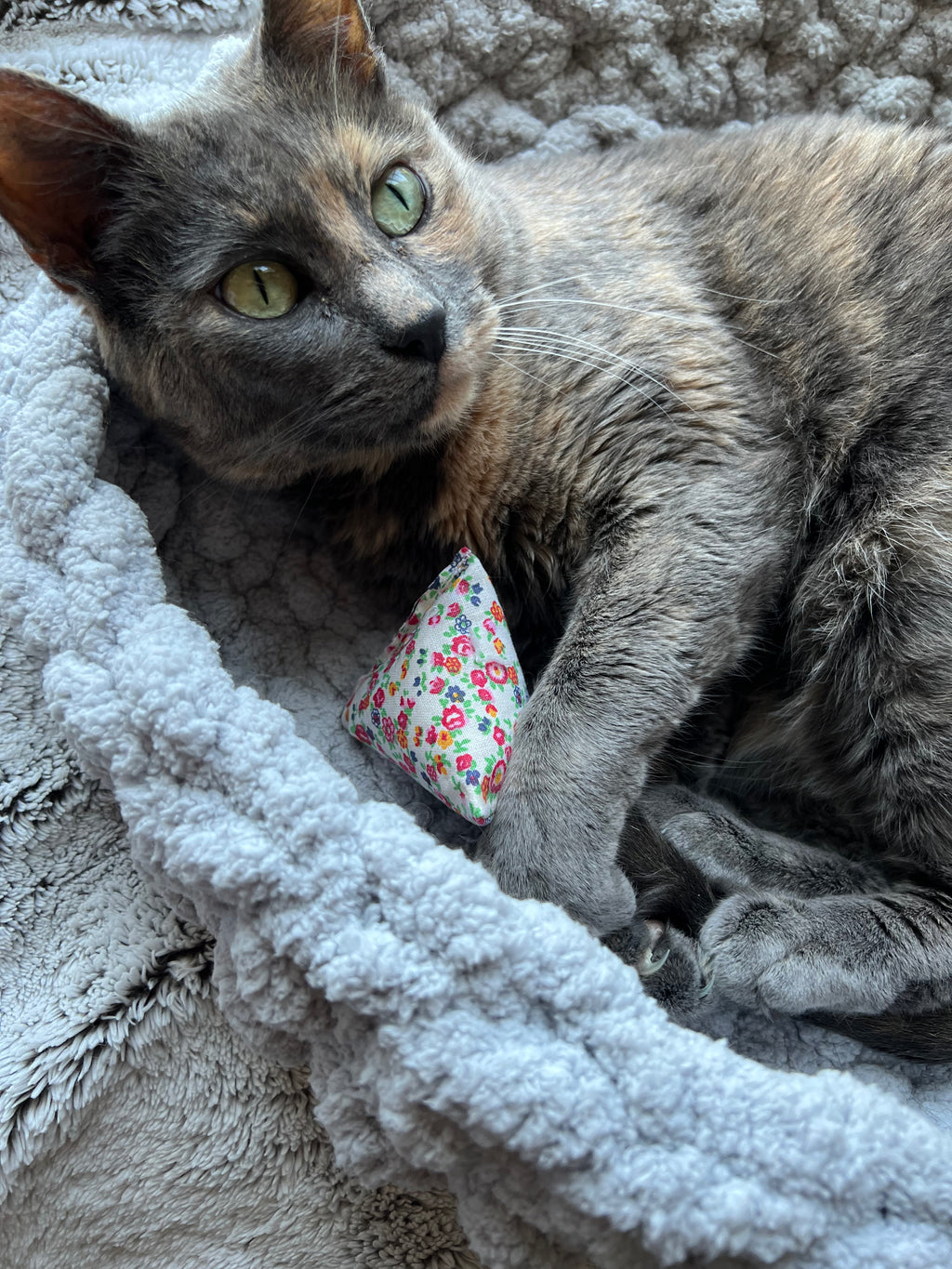 Catnip Kicker (2 Pack)