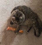 MEGA Catnip Kicker
