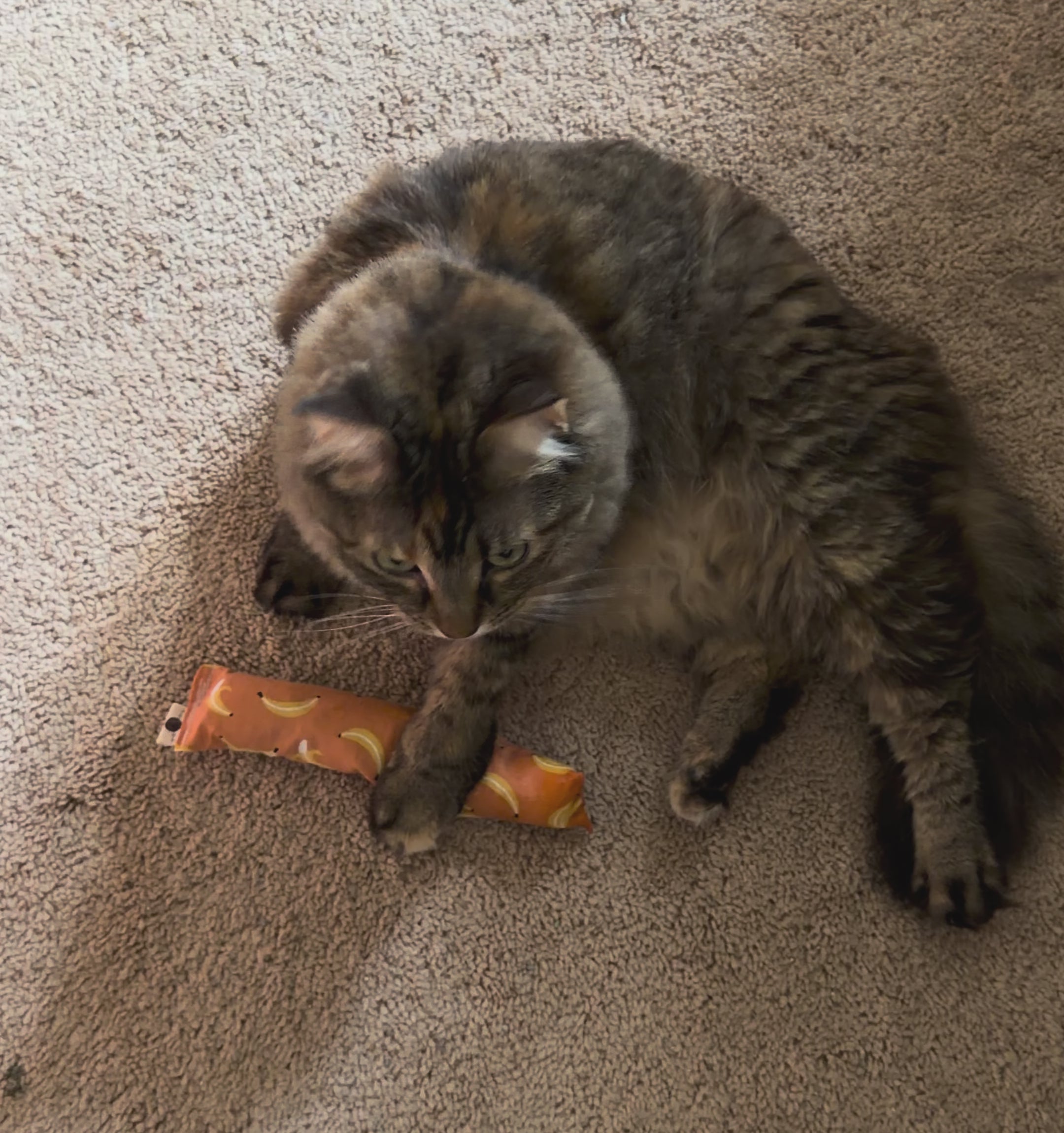 MEGA Catnip Kicker